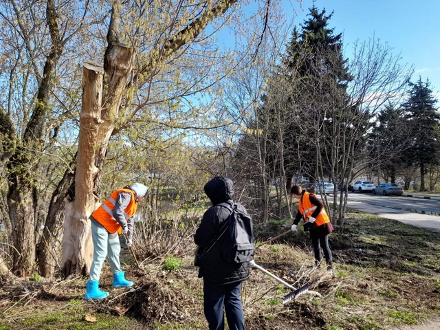 В городском округе Фрязино продолжается месячник благоустройства