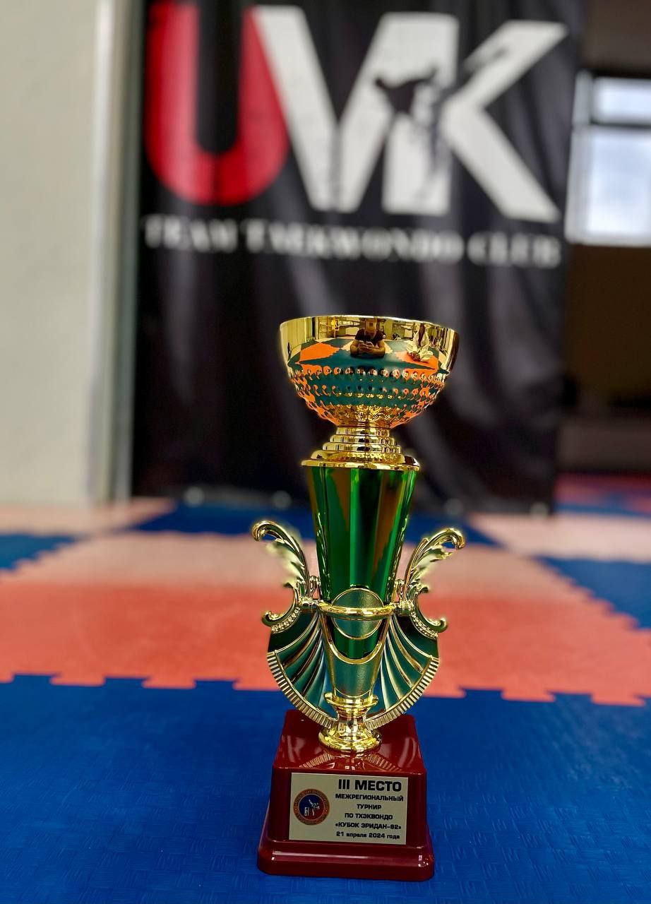 В Мытищах прошли вторые межрегиональные соревнования по тхэквондо ВТФ «Кубок эридан-92». Команда Фрязино заняла 3 место🏆