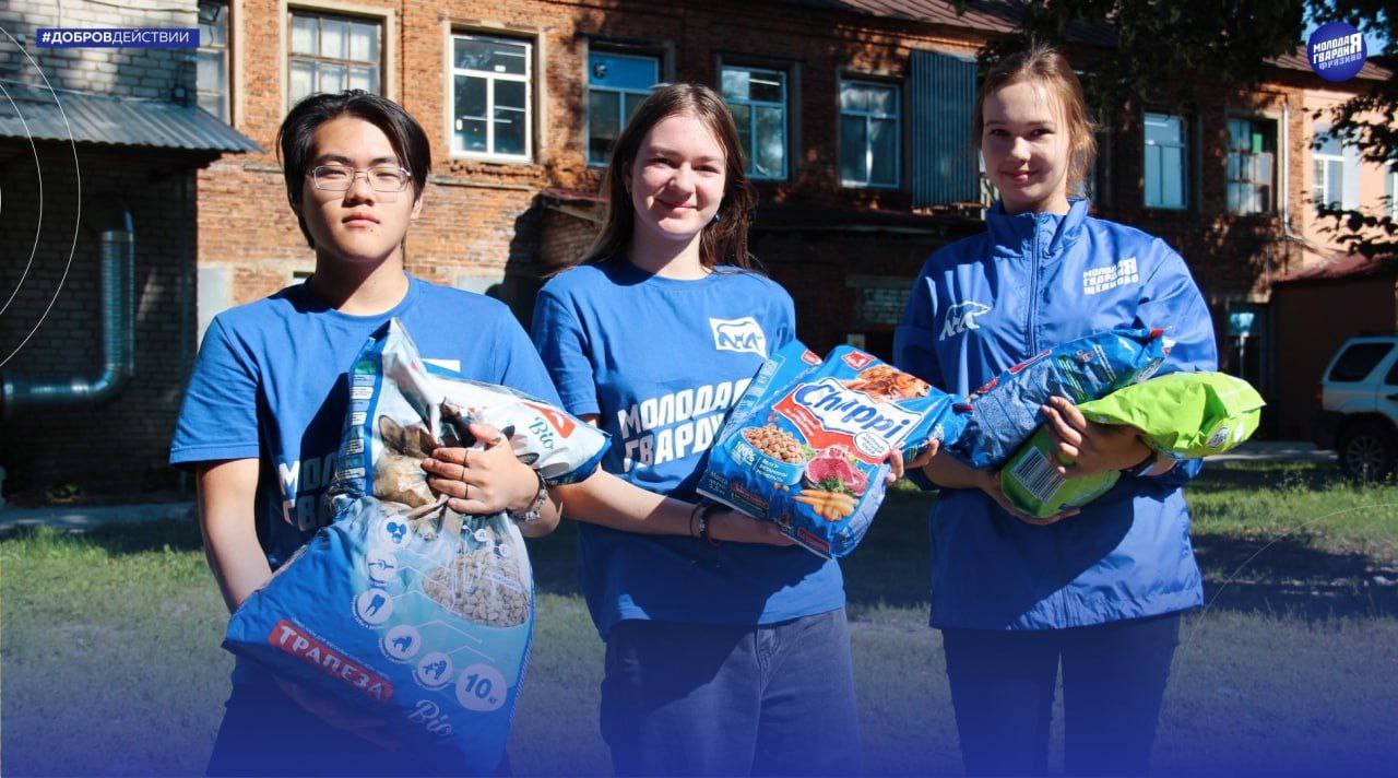 Молодогвардейцы из Фрязино оказали помощь приюту для животных