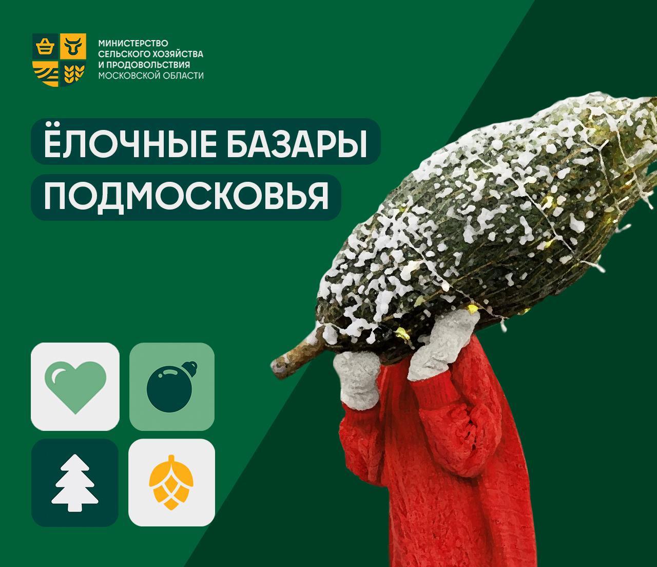 🎄С ароматом хвои: в Подмосковье будут работать свыше 2️⃣8️⃣0️⃣ елочных базаров