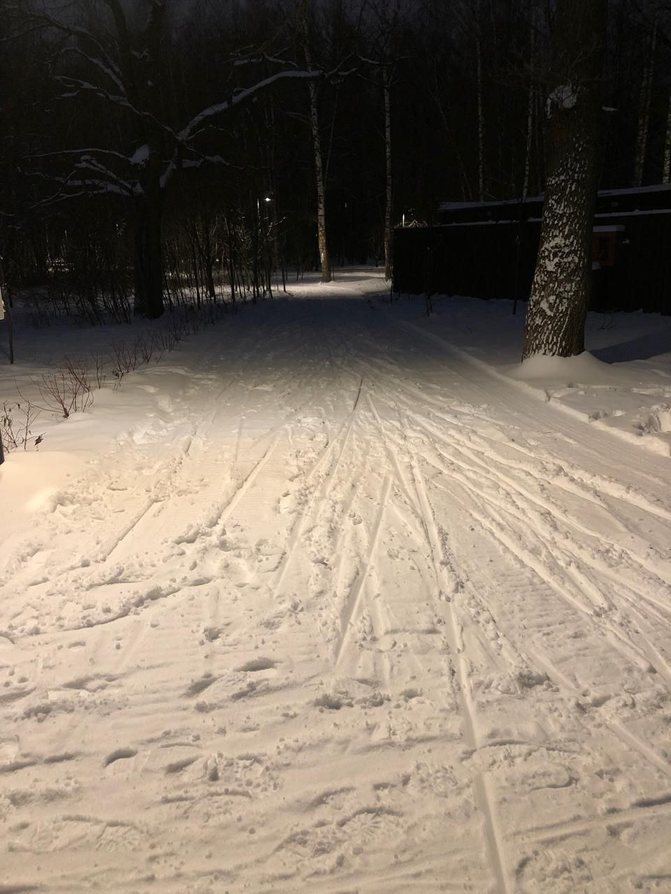 По периметру Фрязинского лесопарка и на территории спортивной школы «Олимп» проложены трассы для конькового и классического хода