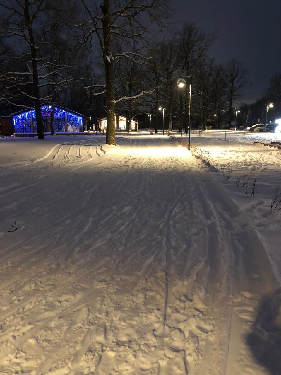 По периметру Фрязинского лесопарка и на территории спортивной школы «Олимп» проложены трассы для конькового и классического хода
