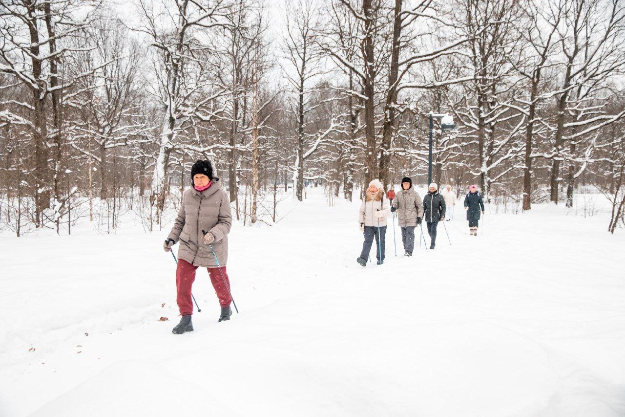 Сегодня во Фрязинском лесопарке прошло областное мероприятие «Елки, санки, парки»