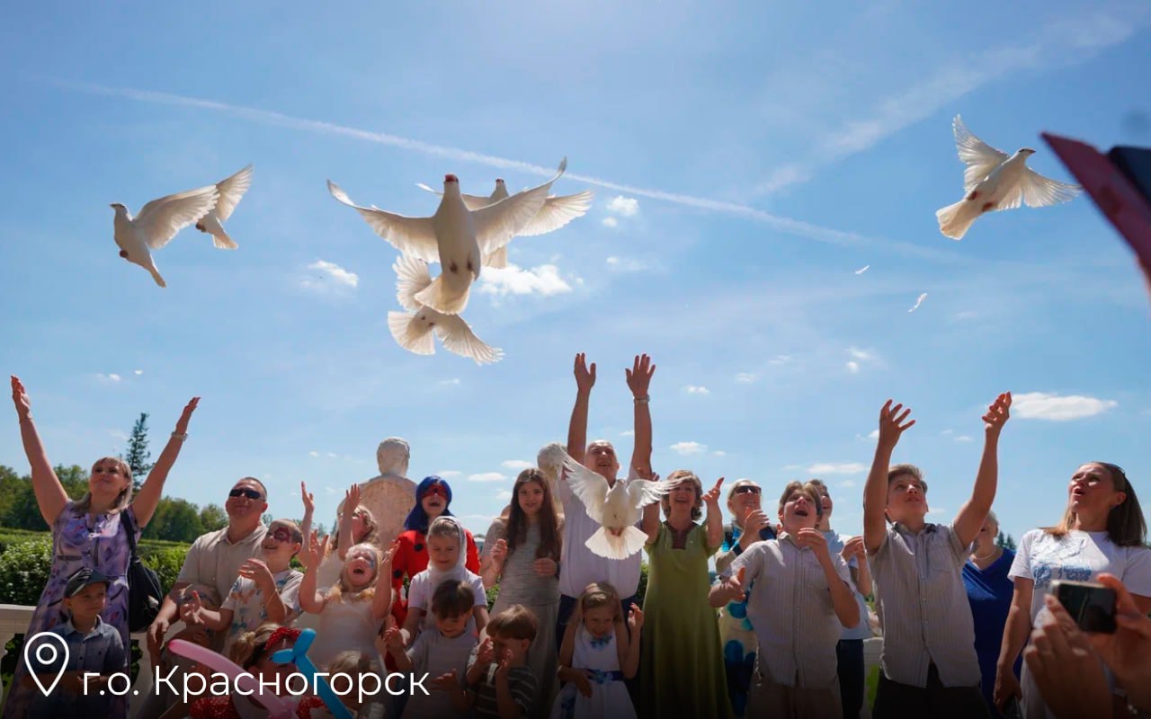 День семьи, любви и верности в Подмосковье