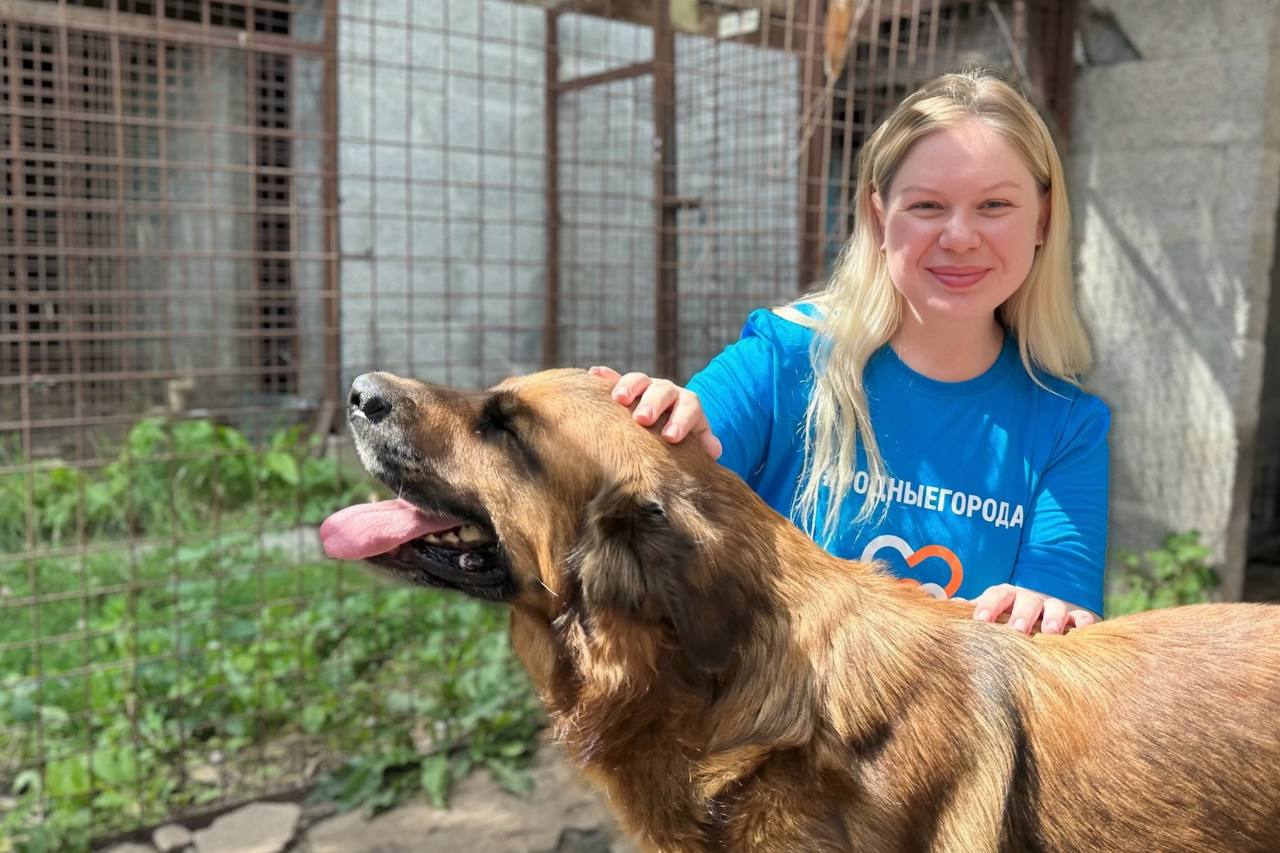 «Газпромнефть-СМ» провела волонтерскую акцию в приюте для животных
