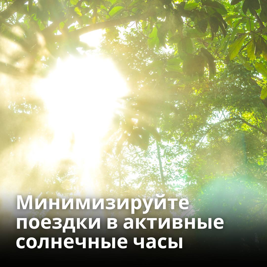 памятка о влиянии жары на организм