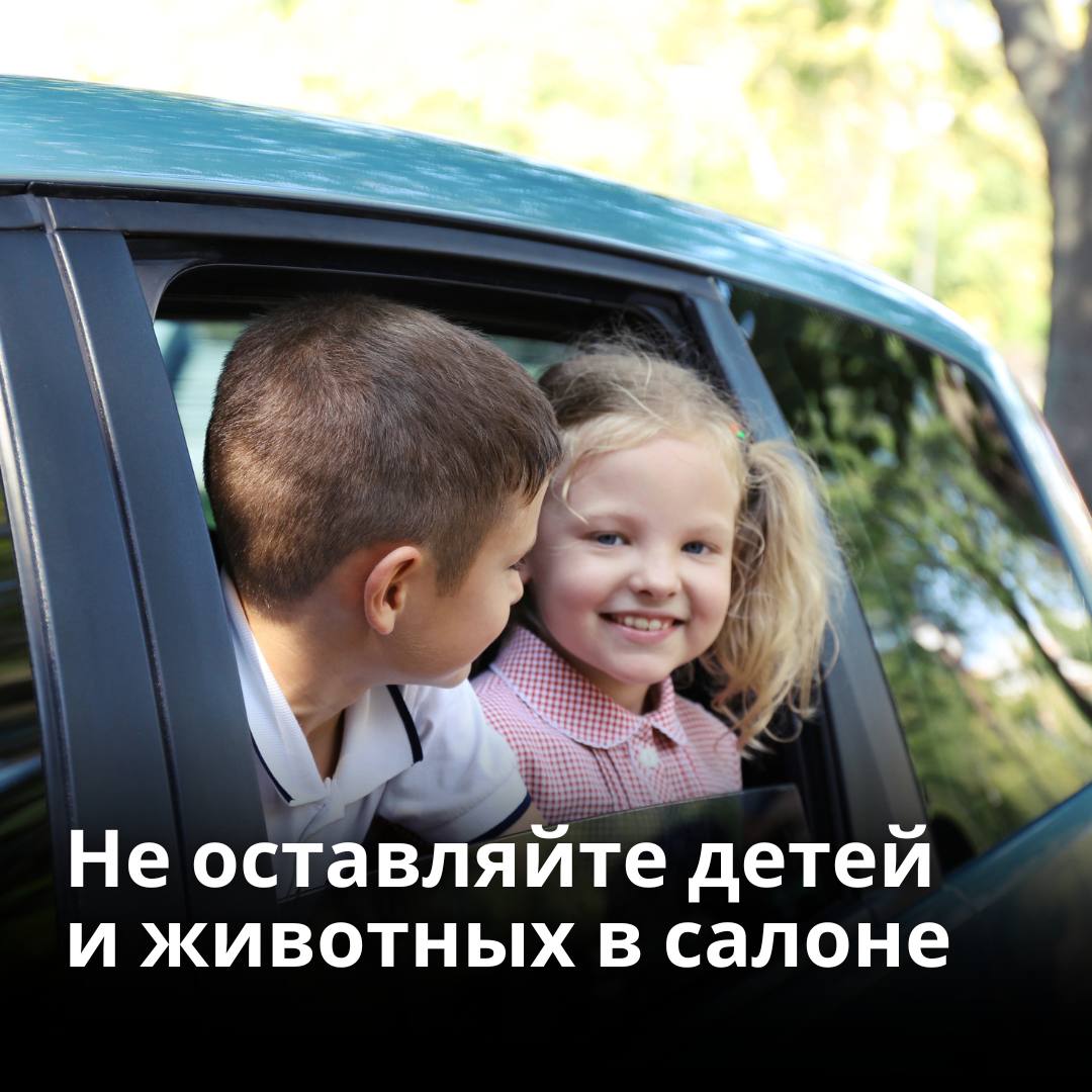 памятка о влиянии жары на организм