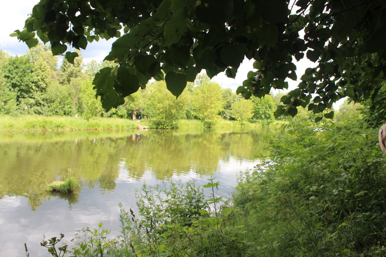 Жители Наукограда вновь приняли участие в экологической акции «Вода России»