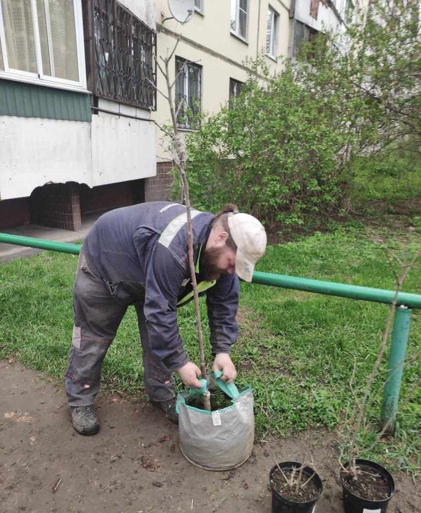 Во Фрязино подходит к концу месяц чистоты и порядка