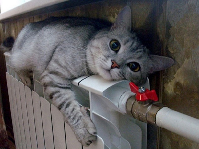 Начиная с 16 мая 2024 года во Фрязино завершается отопительный сезон