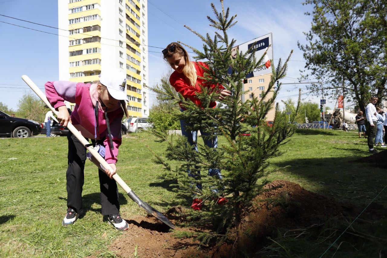 Уважаемые жители городского округа Фрязино! Приглашаем 20 сентября на акцию «День в лесу. Сохраним лес вместе»!
