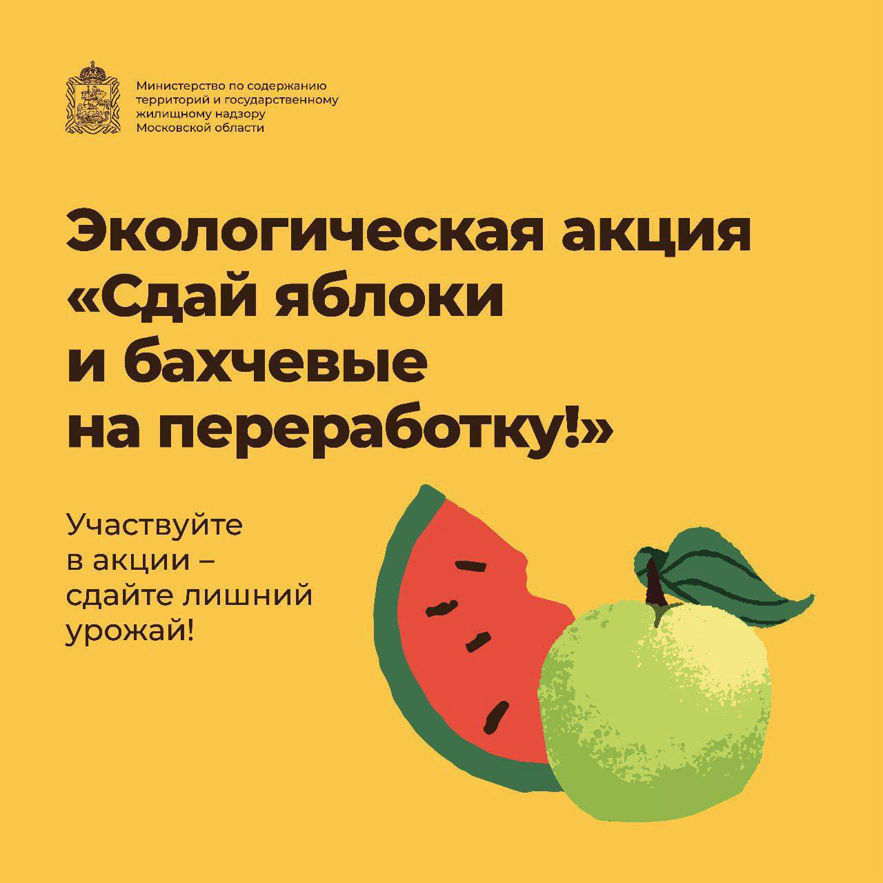 В Подмосковье стартует акция по сбору избыточного урожая яблок и бахчевых культур