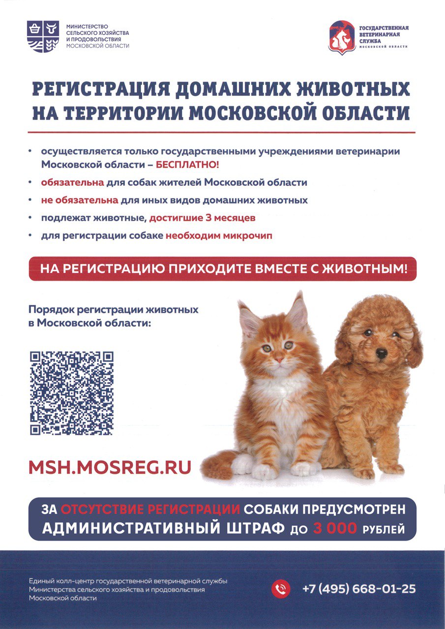 Регистрация домашних животных на территории Московской области