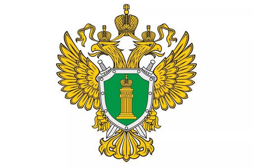 Щелковская городская прокуратура Московской области