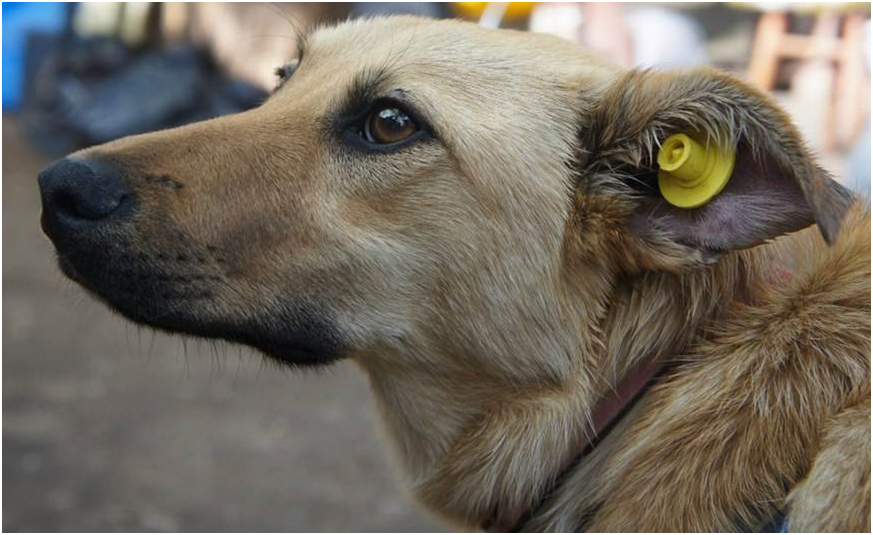 Важная информация!