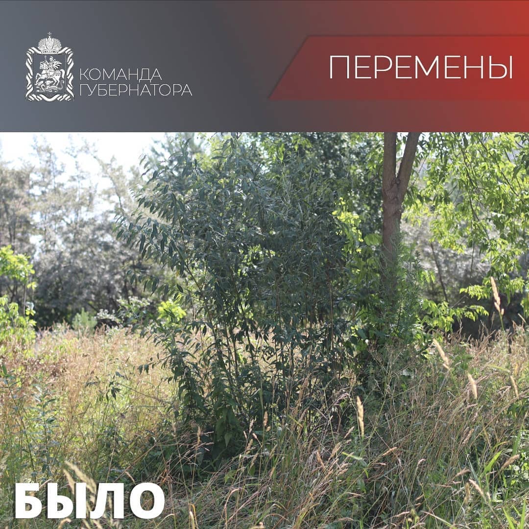 Глава г.о. Фрязино в формате «выездной администрации» сделал обход территории от торгового центра «Чижово» до улицы 60 лет СССР