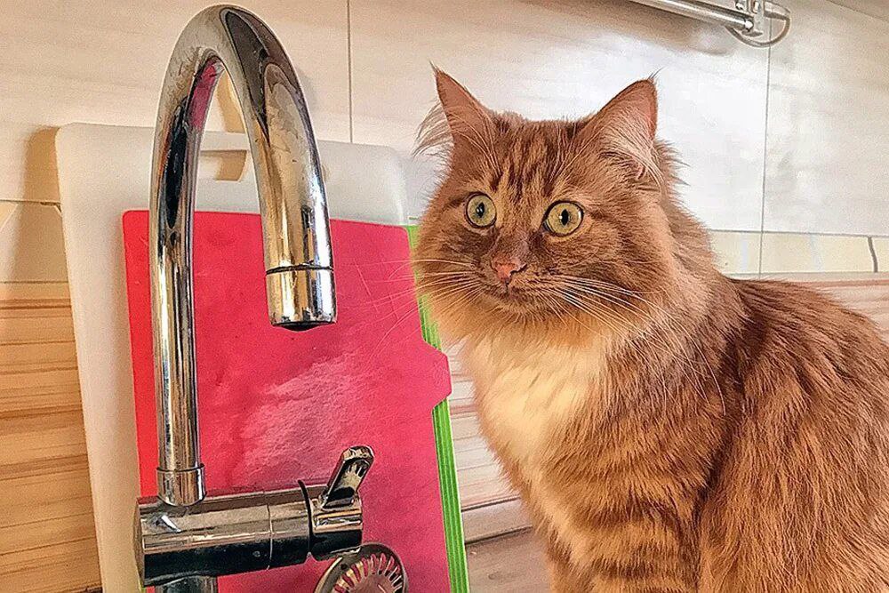 Уважаемые жители городского округа Фрязино!