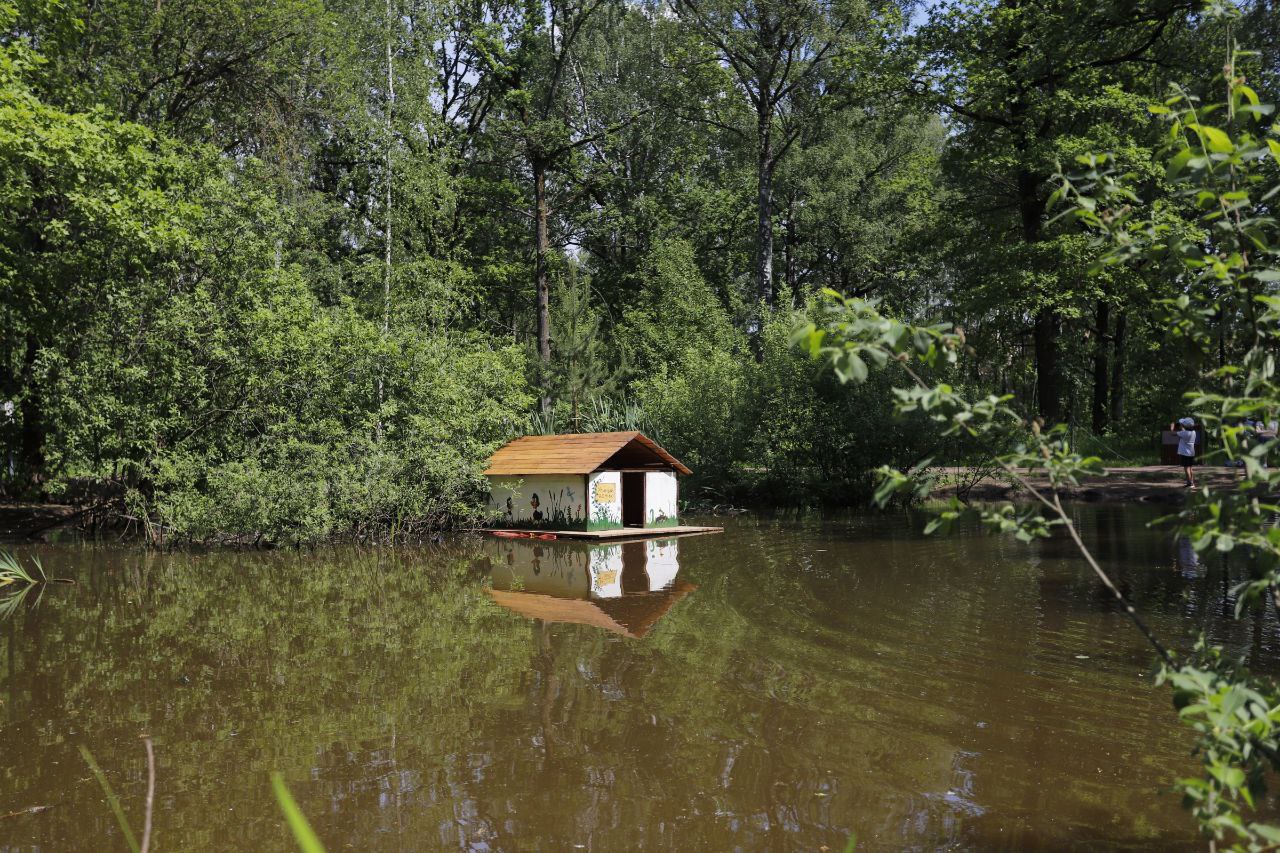 Корм для уток