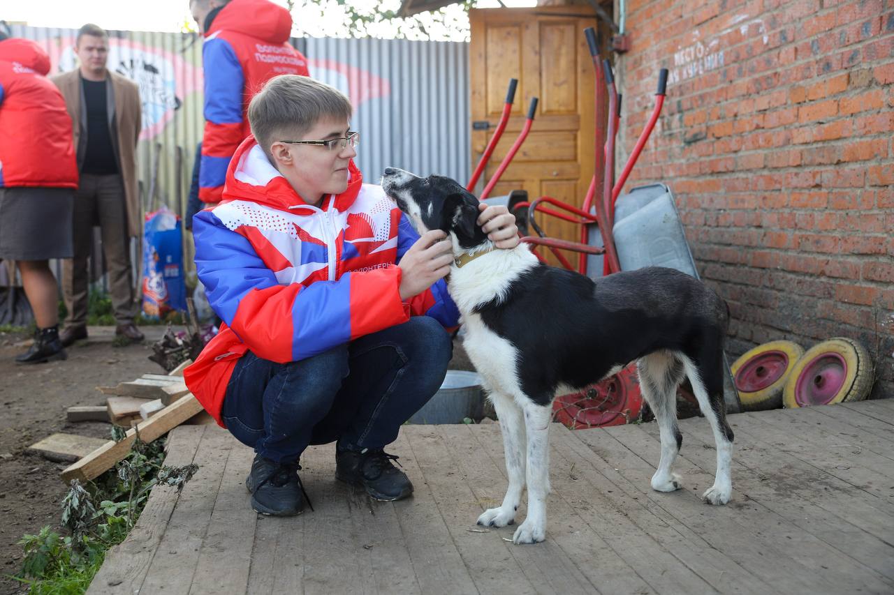 Региональному движению «Волонтеры Подмосковья» — пять лет!