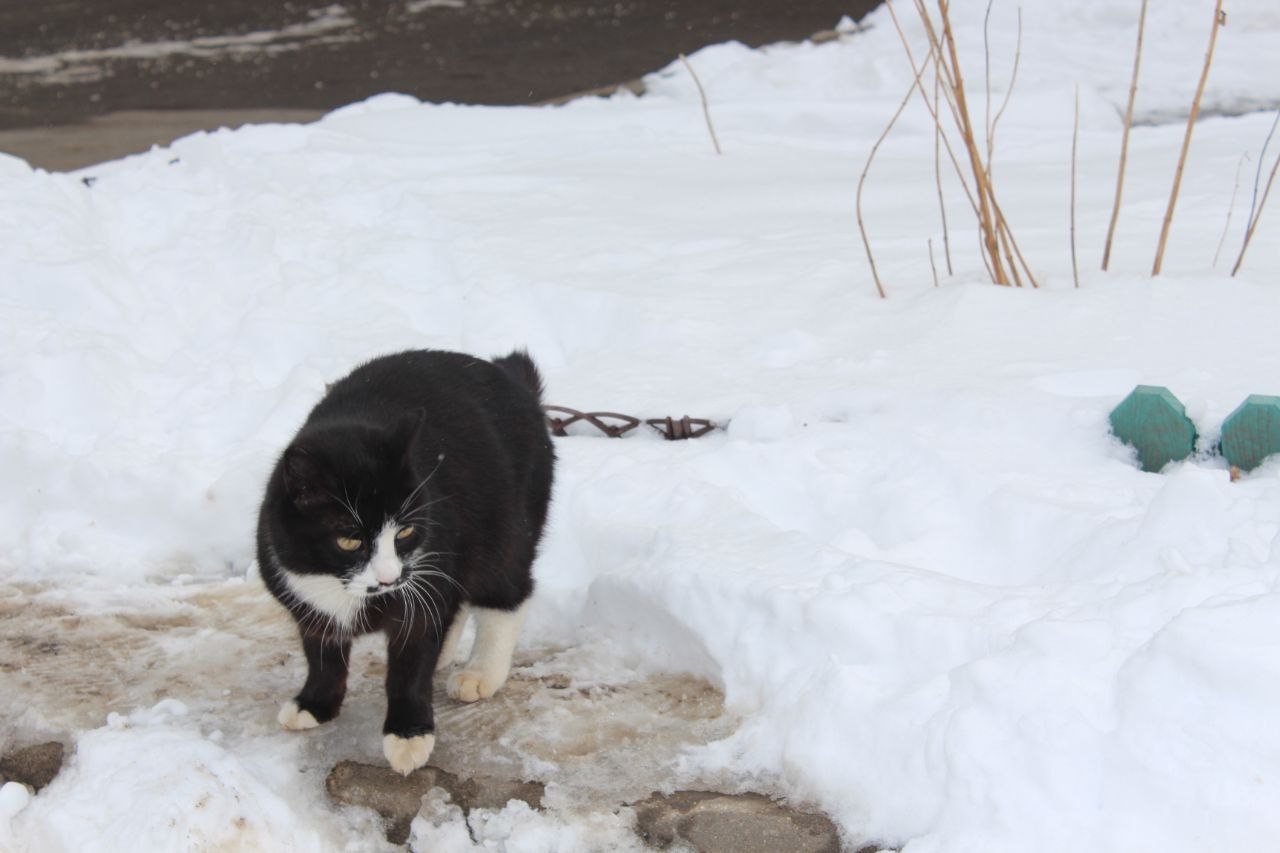 Заместитель главы городского округа Фрязино Антон Михайлович Тропин провел встречу с жителями дома №16 по улице Полевой в рамках традиционного обхода территорий