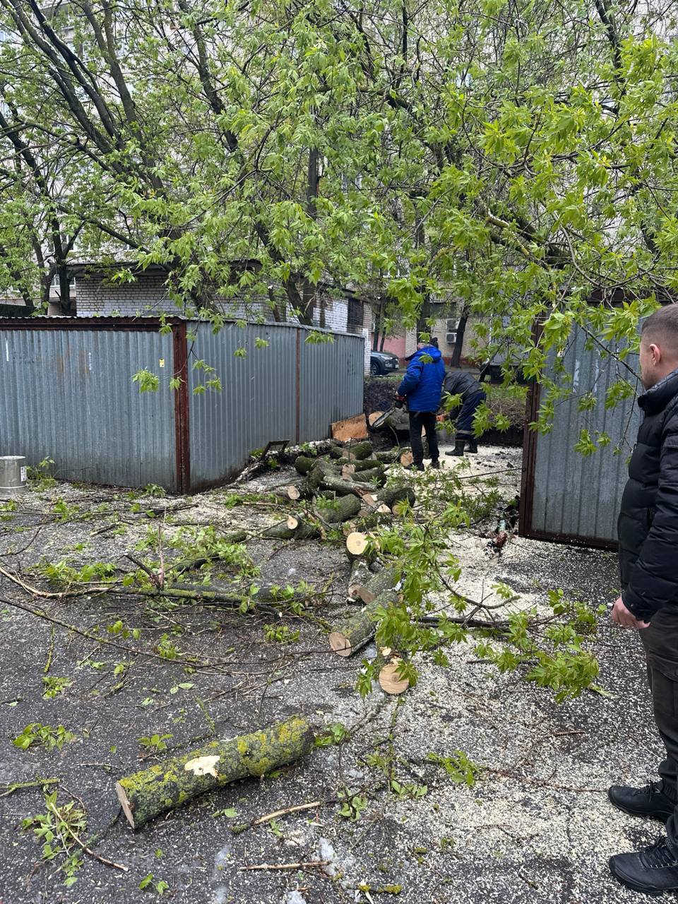 Необычная погода в Подмосковье: последствия циклона и работа городских служб