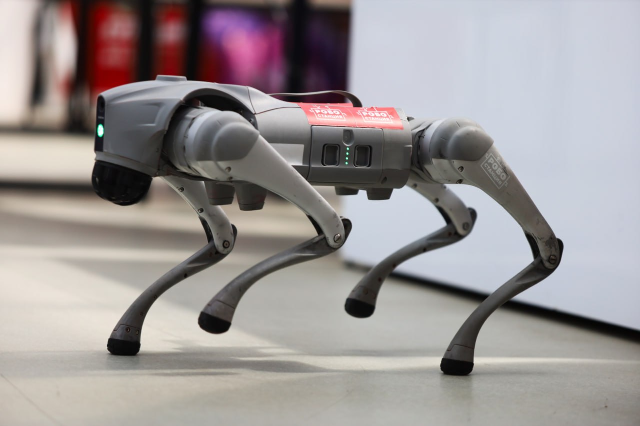 Подмосковные школьники представляют свои изобретения на выставке «Робостанция» на ВДНХ