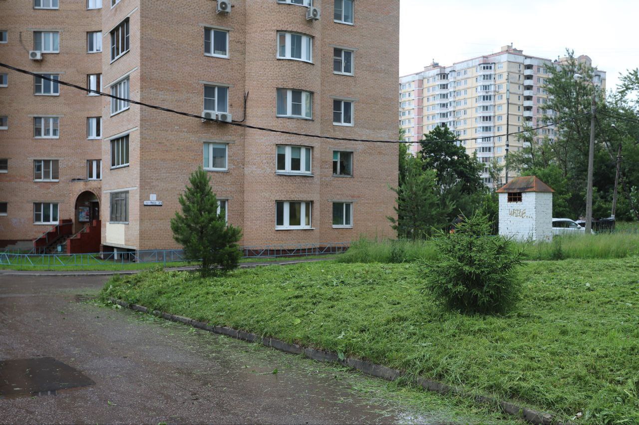 Заместитель главы городского округа Фрязино Юлия Шувалова провела обход территории возле дома 21 по Проспекту Мира, инициированный жалобами жителей на высокую траву