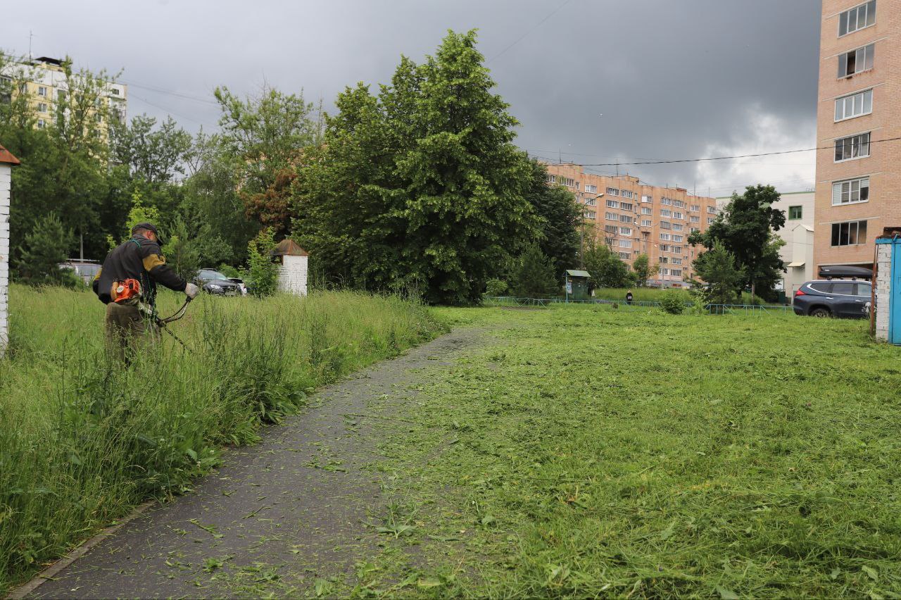 Заместитель главы городского округа Фрязино Юлия Шувалова провела обход территории возле дома 21 по Проспекту Мира, инициированный жалобами жителей на высокую траву