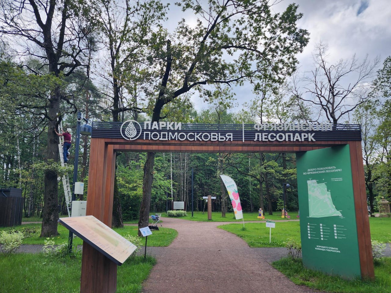 В лесопарке города Фрязино проводят работы по уходу за деревьями