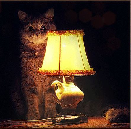 Уважаемые жители Фрязино!