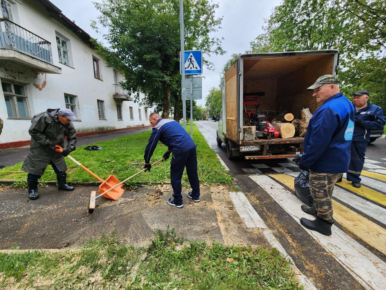 На улице Институтской во Фрязине спилили аварийное дерево
