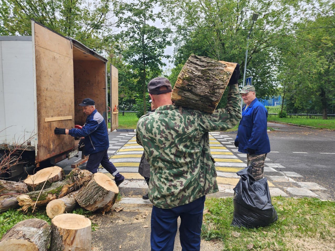 На улице Институтской во Фрязине спилили аварийное дерево