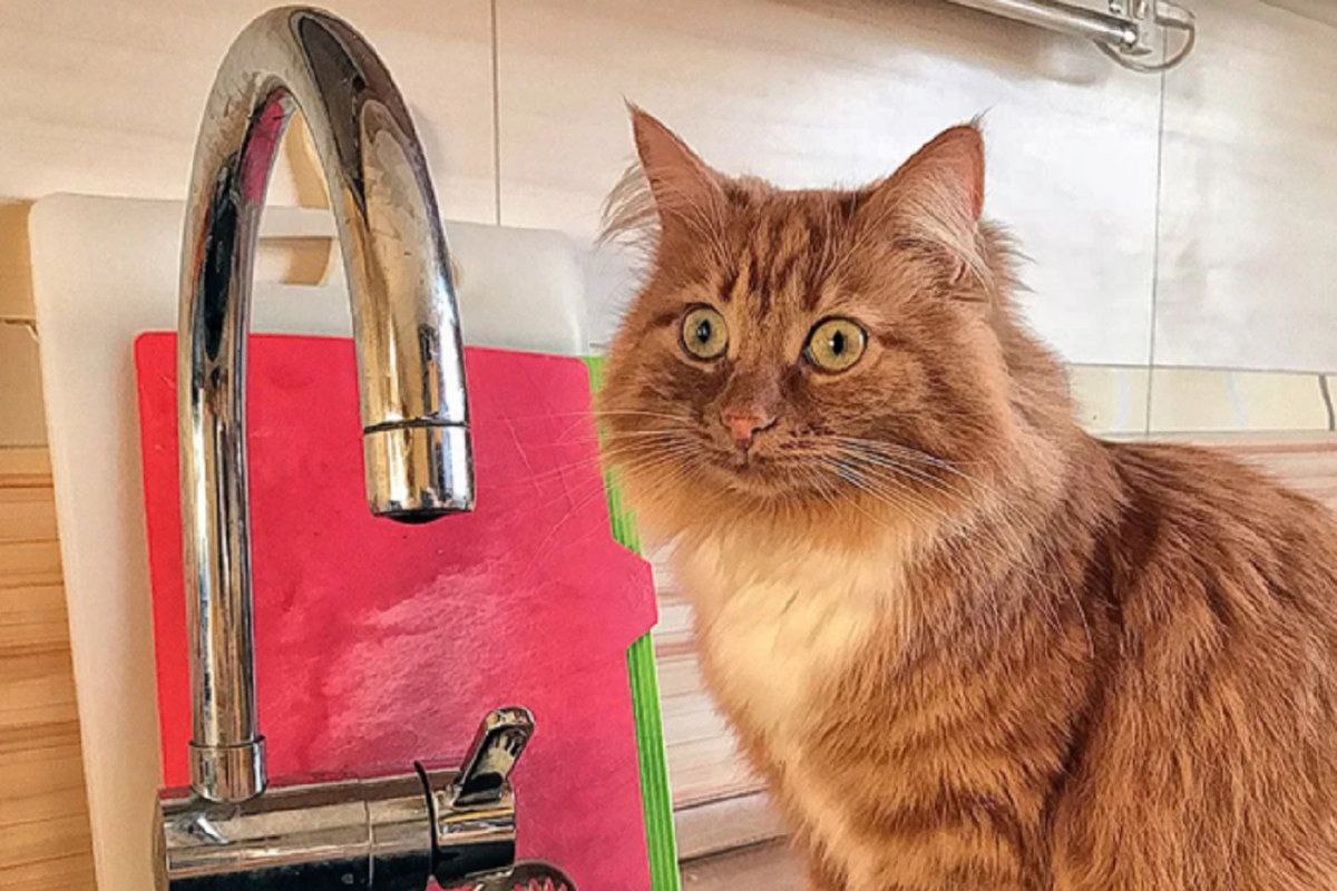 Уважаемые фрязинцы!