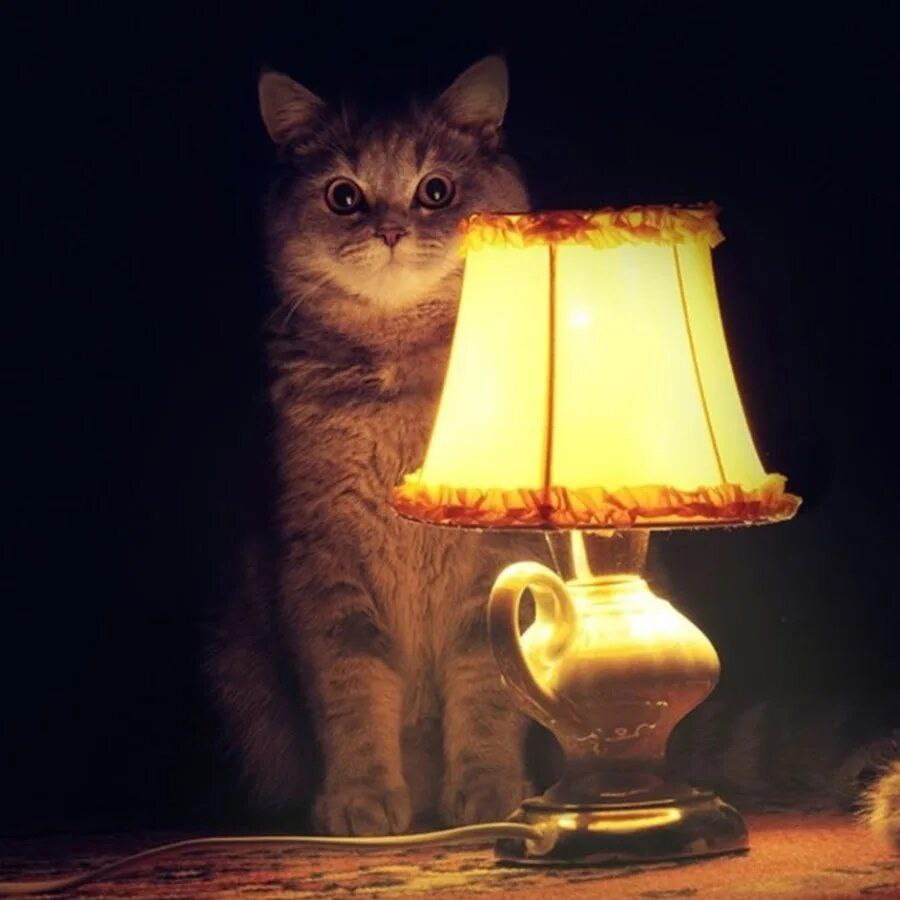 Уважаемые жители Фрязино!