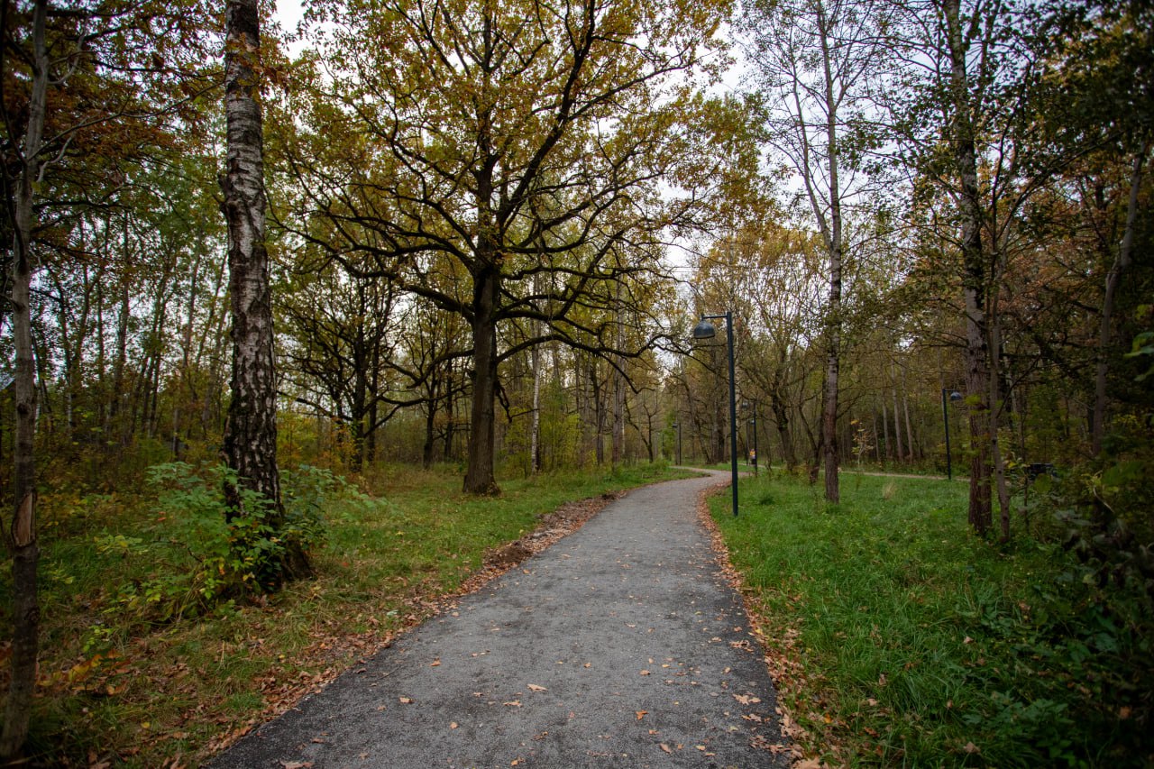 Глава городского округа Фрязино Дмитрий Воробьев вместе с председателем Совета депутатов Полиной Коноваловой проверили, как прошли работы по восстановлению нашего пруда во Фрязинском лесопарке