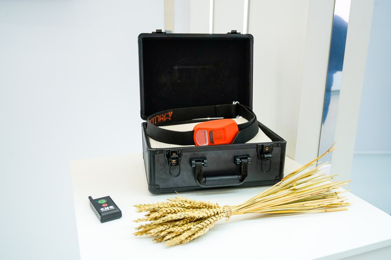 На 27-й Российской агропромышленной выставке «Золотая осень» представили цифровые проекты Подмосковья в АПК