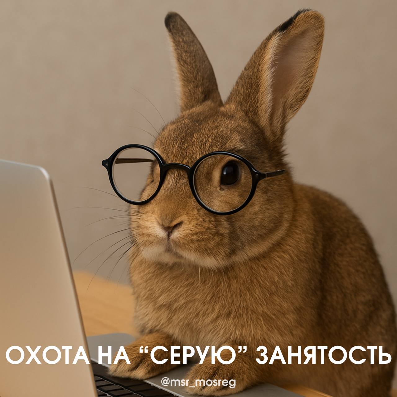 Результаты охоты на «серую» занятость