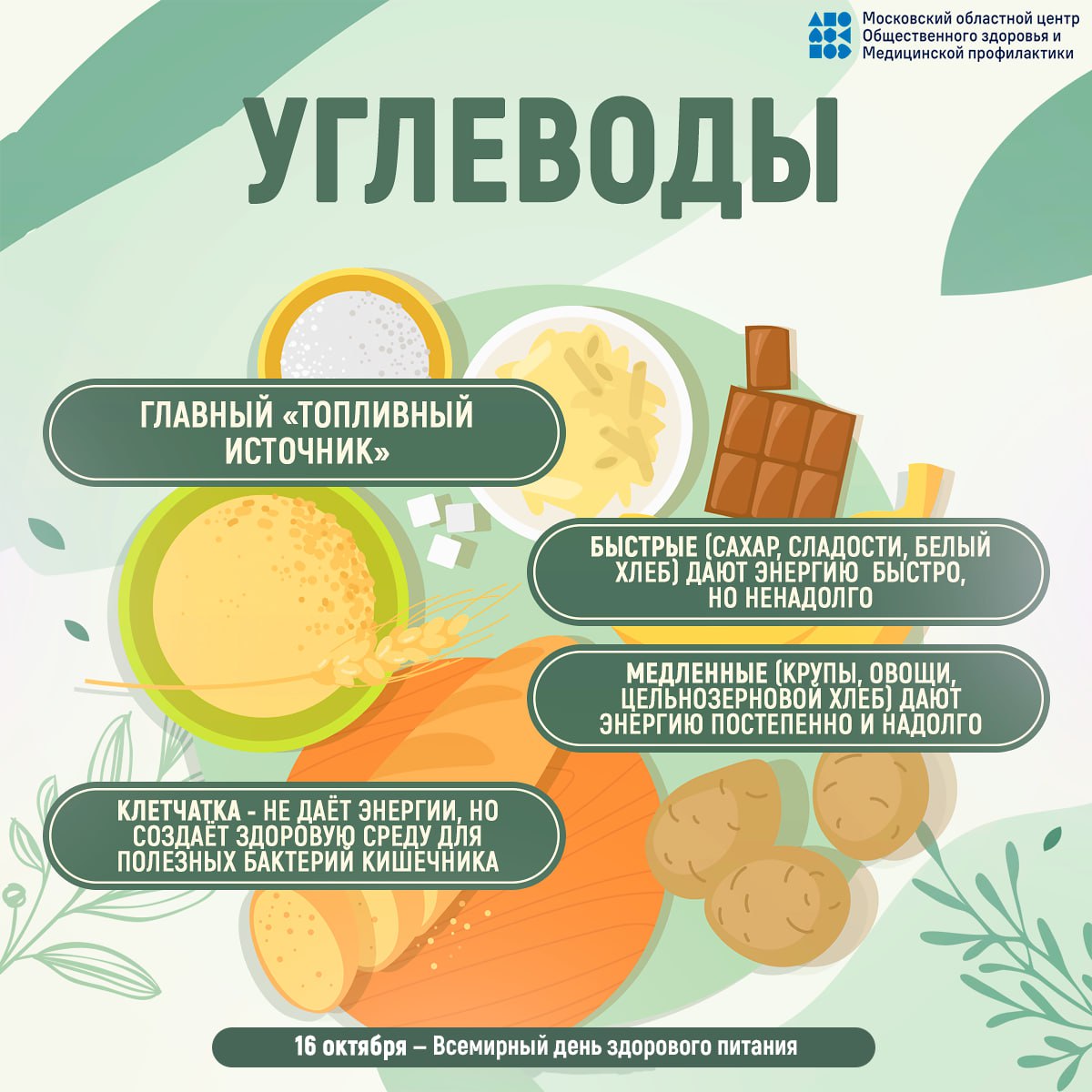 16 октября - всемирный день здорового питания