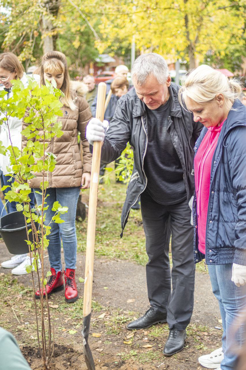 17 сентября на территории городского округа Фрязино прошла областная акция «Наш Лес. Посади свое дерево»