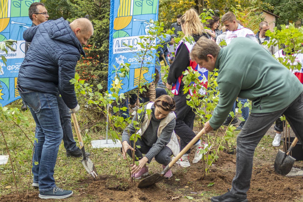 17 сентября на территории городского округа Фрязино прошла областная акция «Наш Лес. Посади свое дерево»
