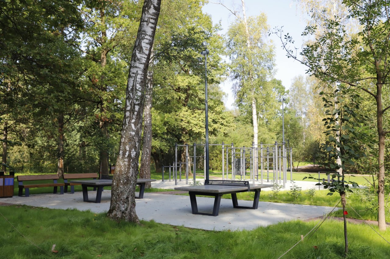 Вспомним лучшие моменты открытия Фрязинского лесопарка