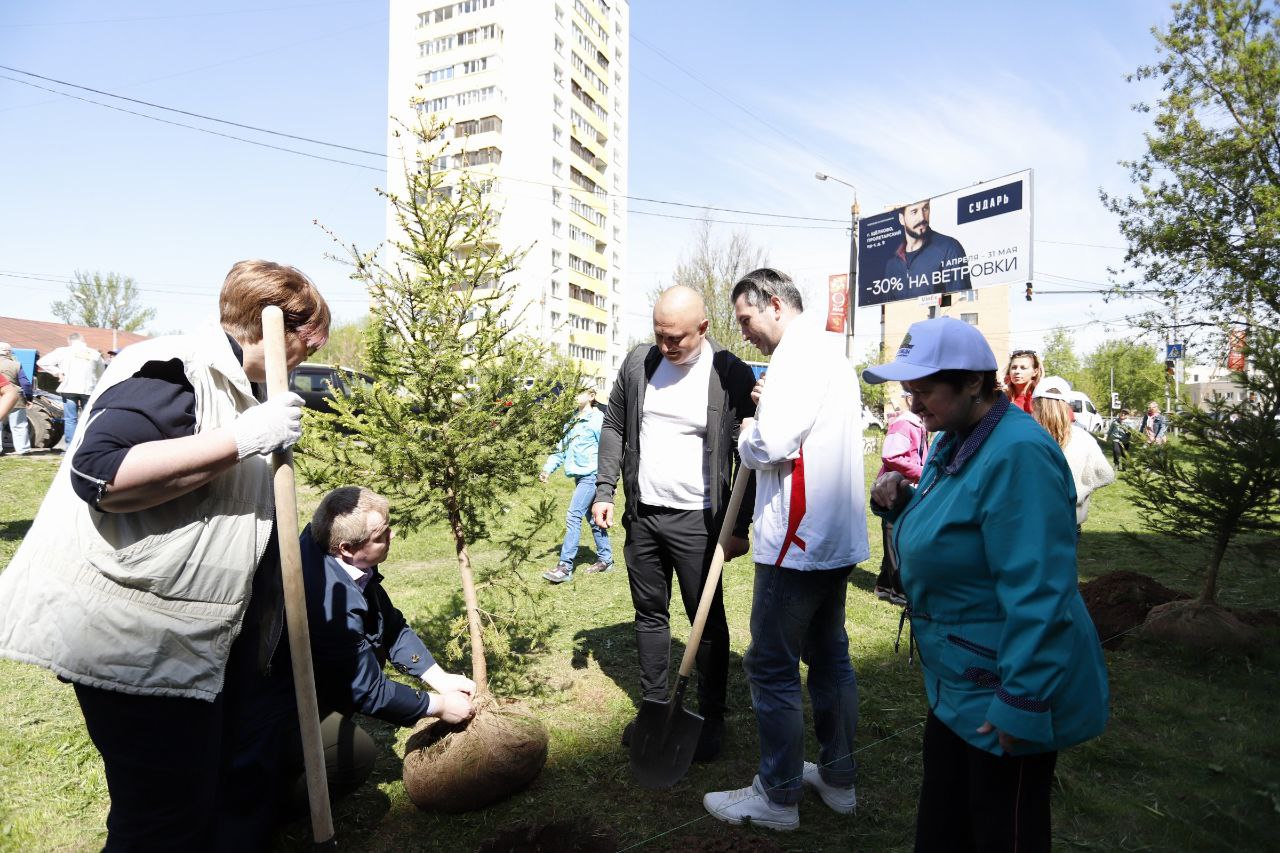 Фрязинцы по всему городу высадили молодые деревья в память о героях военных лет