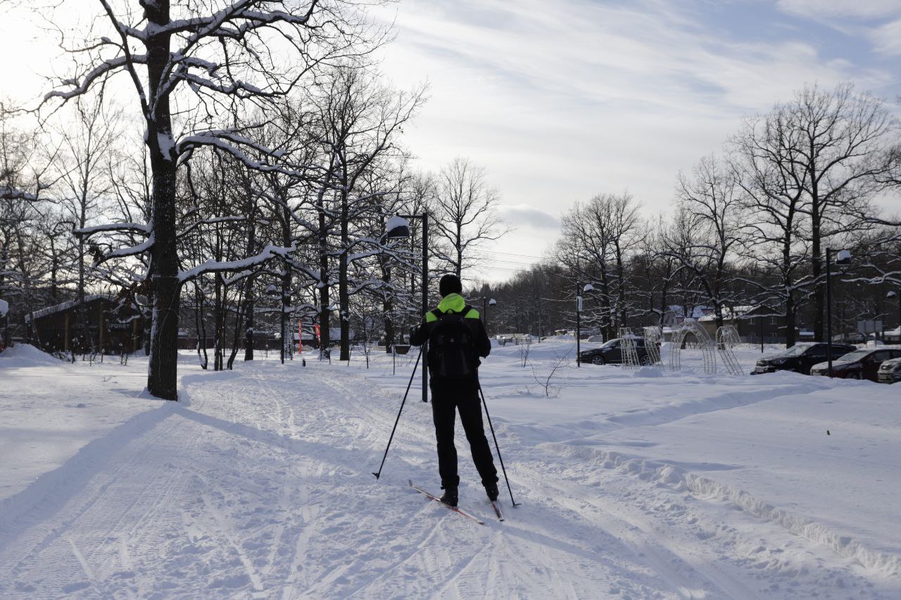 Предложения жителей по оборудованию Фрязинского лесопарка будут направлены в работу
