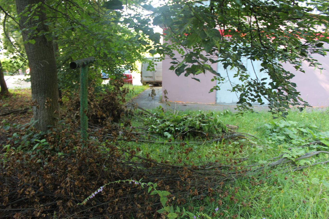 Обход территории в районе ж/д станции «Фрязино-Пассажирская»