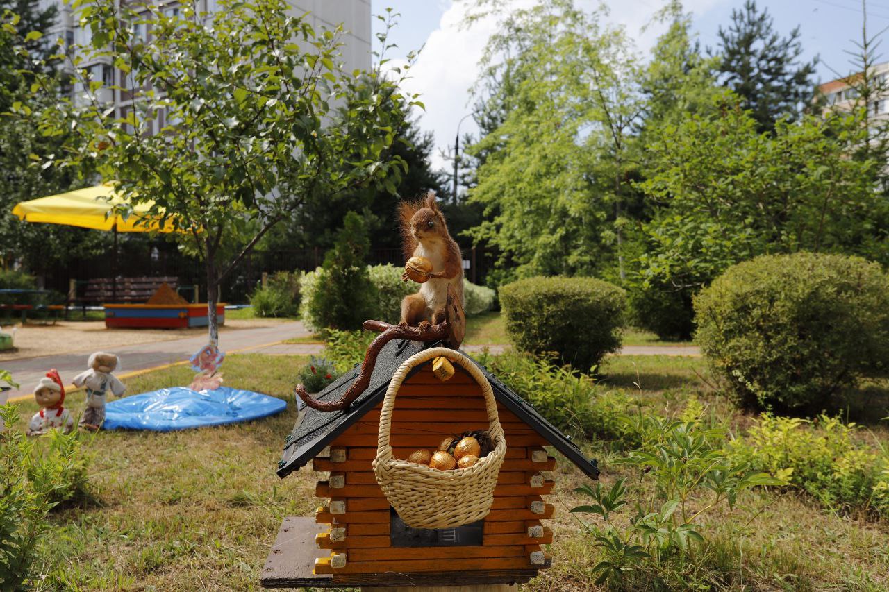 Оценивать летом «зеленые наряды» дошкольных образовательных учреждений Наукограда стало уже доброй традицией🌼