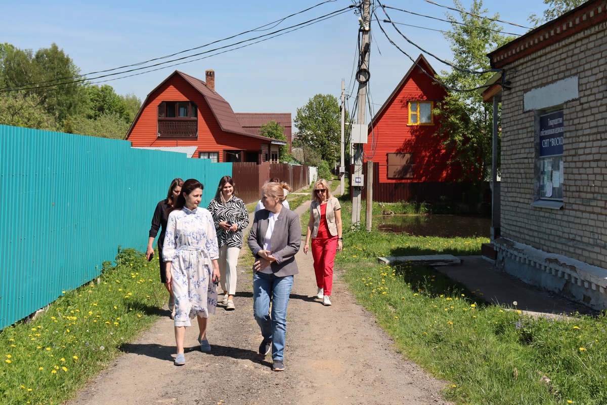 Заместитель главы городского округа Фрязино Наталья Силаева провела обход территории СНТ «Восход»
