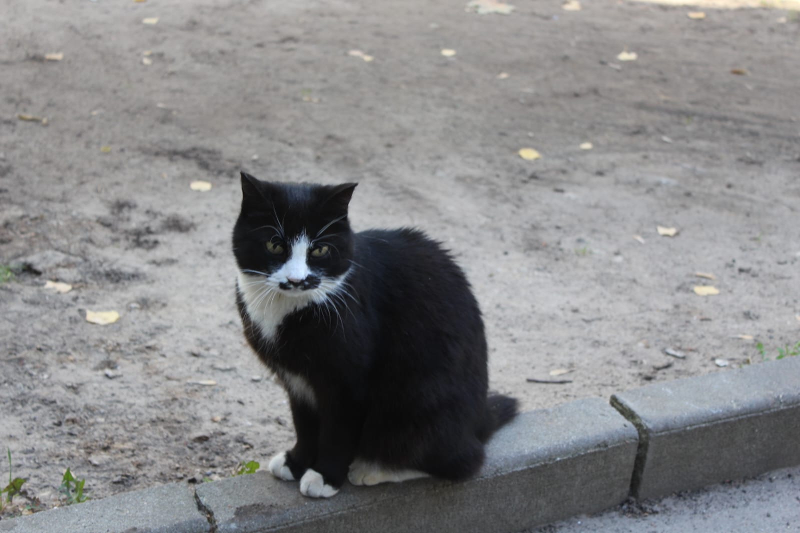 Заместитель главы городского округа Фрязино Антон Тропин вновь встретился с жителями дома №16 по улице Полевая