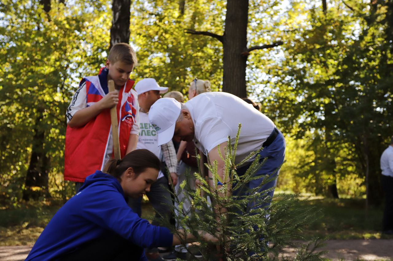 Фрязинцы приняли участие в региональной акции «День в лесу. Сохраним лес вместе»🌳