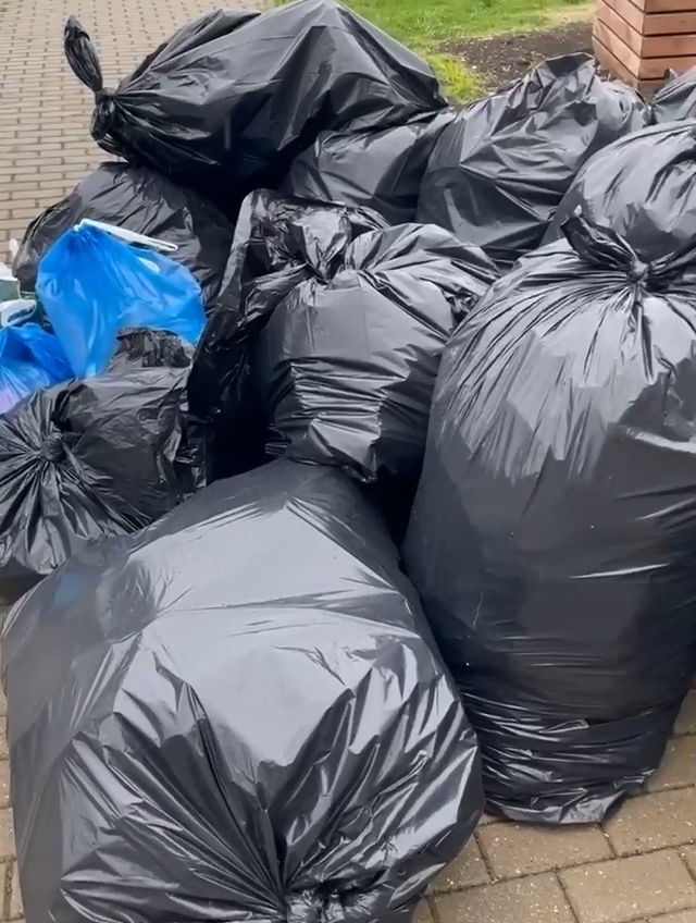 Жителей Фрязино приглашают на экоакцию «Дети в деле»